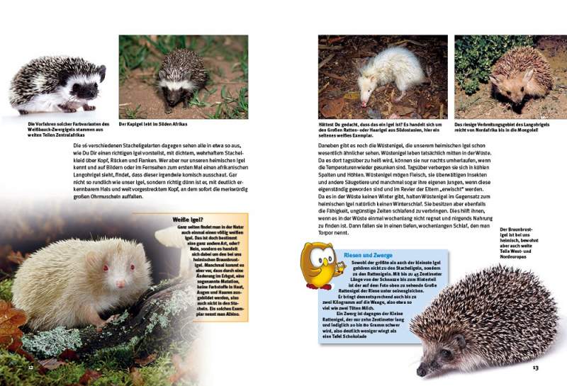 Preview: Entdecke die Igel